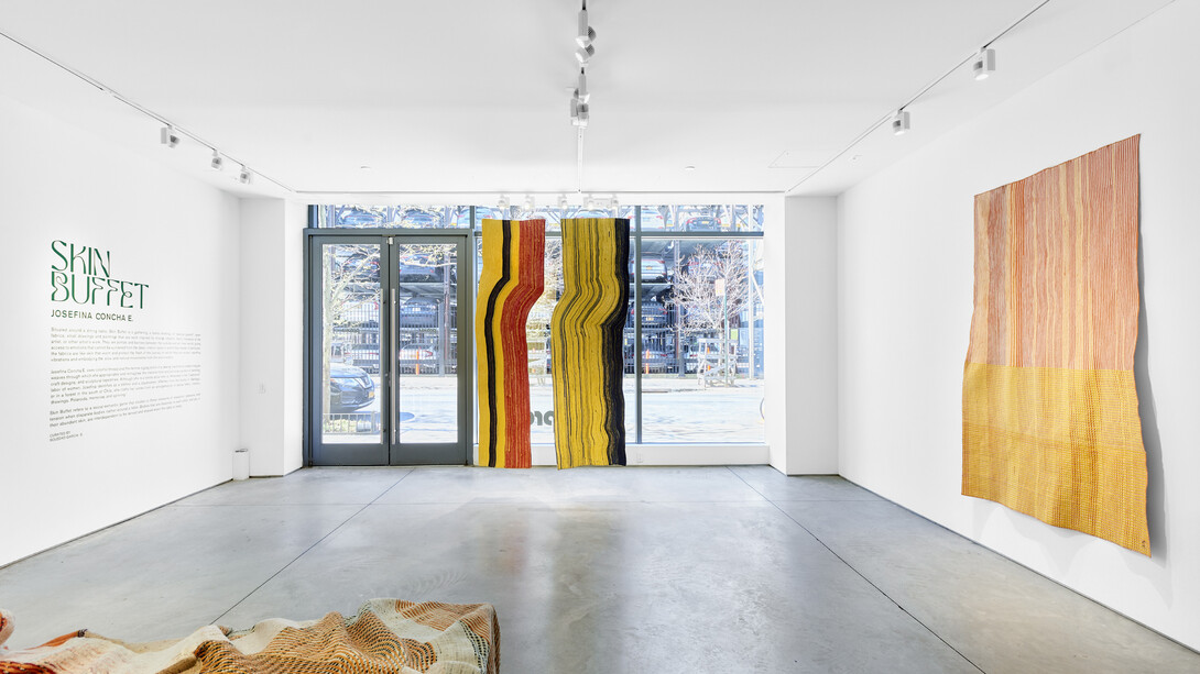 Josefina Concha E., Skin Buffet, 2023, exhibition view. Courtesy of Praxis Gallery, NYC