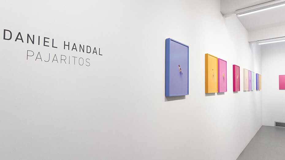 Daniel Handal. Courtesy of ClampArt