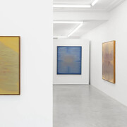 Heath Wae, School of the flower, exhibition view. Courtesy of Arden + White Gallery 