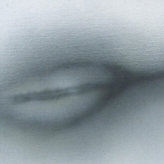 Betty Tompkins, Pussy Painting #15, 2012, Acrylic on Canvas, 40,6 x 40,6 cm, copyright Betty Tompkins, courtesy the artist and Rodolphe Janssen, Brussels, private collection.