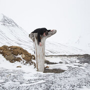 Jacobus Capone, Dark Learning (still), 2015, multi-channel video, high definition, colour, sound, 23 minutes, image courtesy and © the artist