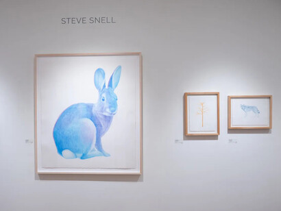 Steve Snell, exhibition view. Courtesy of Momentum Gallery