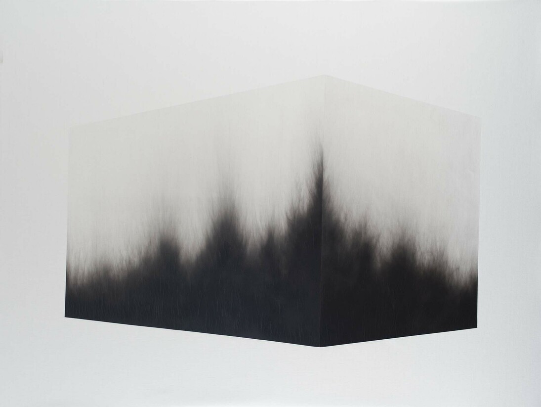 Alessandro Cannistrà, Oggetto di pensiero, 2015, fumo su tela, 150 x 200 cm