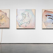 Seth Price. Courtesy of Aspen Art Museum