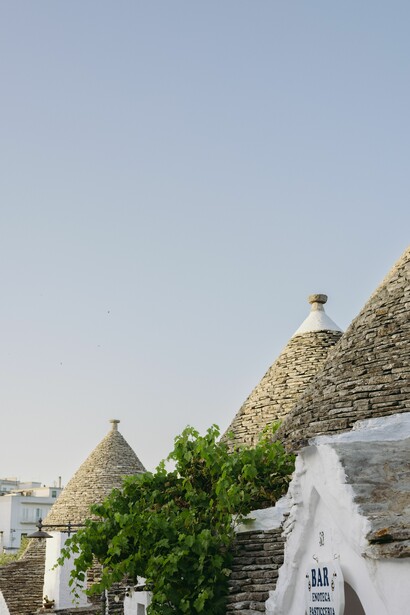 Plants on the buildings in Alberobello, Italy 