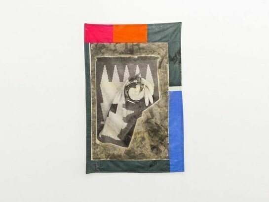 Christian Newby, Parlour Ape, 2013, Courtesy of Vitrine