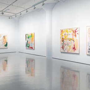 Reinhard Pods, Happy hour, exhibition view. Courtesy of Fergus McCaffrey Gallery