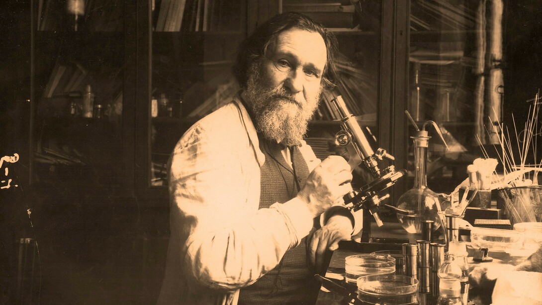 Elías Metchikoff (1844-1916)