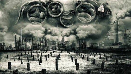 Marcin Owczarek, Consumption, 2010.