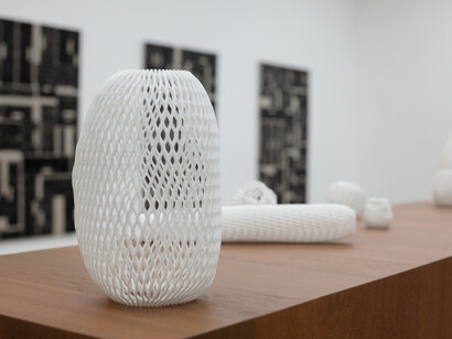 Nicole Coson, Membranes, exhibition view. Courtesy of Silverlens 