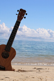 Ukulele