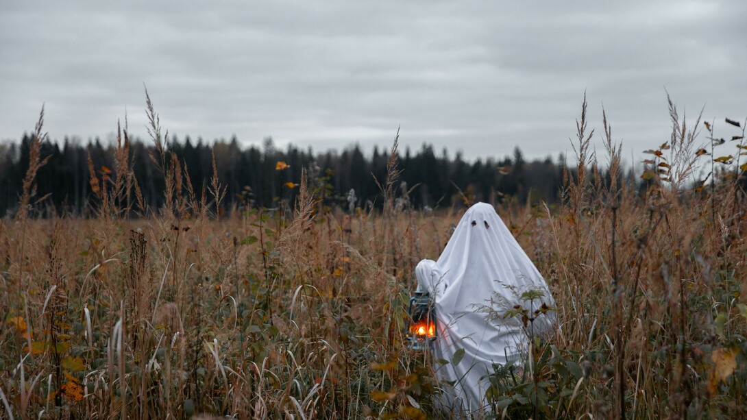 Fantasma em meio a uma plantação