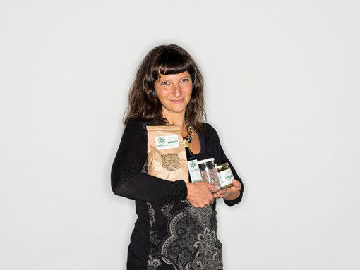 A museum of modern nature. Courtesy of Wellcome Collection 