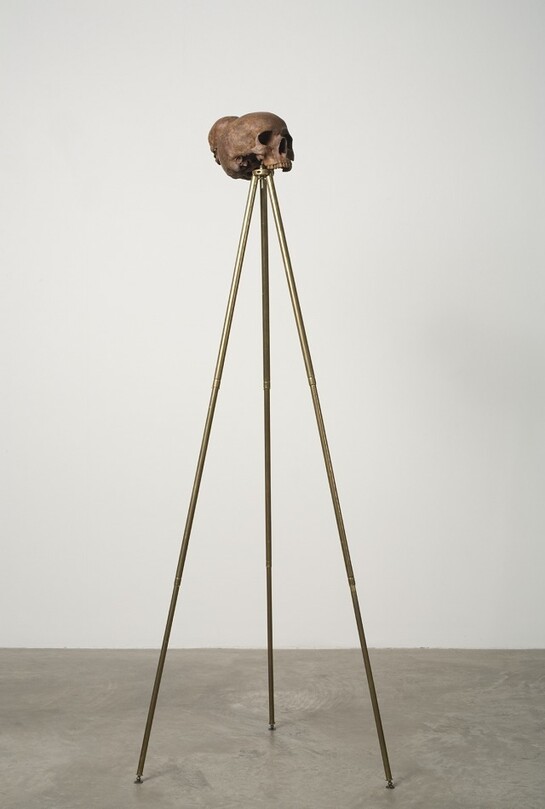 Dorothy Cross, sapiens, 2007, cast bronze skull and antique brass tripod,128 x 49 x 49cm, 25 x 15 x 25 cm, 50.4 x 19.3 x 19.3 in 9.8 , Courtesy of Dorothy Cross and Kerlin Gallery, Dublin