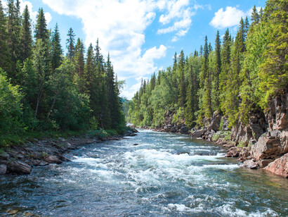 Existimos esos ríos de personas que habitamos el planeta, que sufrimos todos hoy