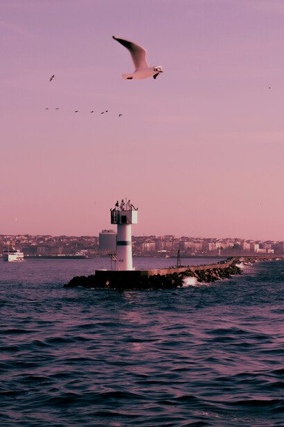 Enfrentando as adversidades do clima e a bagunça climática, agosto pode ser um mês de reflexão e ação positiva