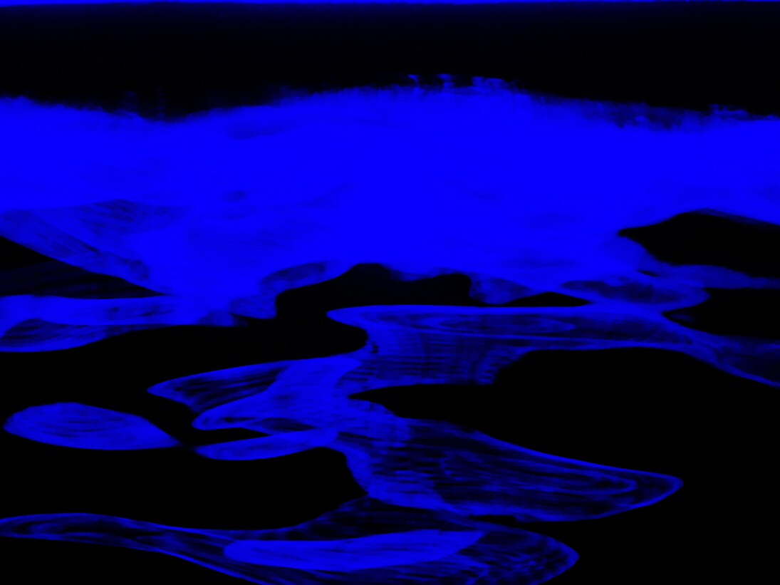 Kitty Chou, Black & Blue #1, 2013, Inkjet on Hahnemühle photo rag paper, 42 x 56 cm; (16 1/2 x 22 1/8 in.), Edition of 10 + 2 AP (#1/10), Copyright the Artist, Courtesy Ben Brown Fine Arts, London