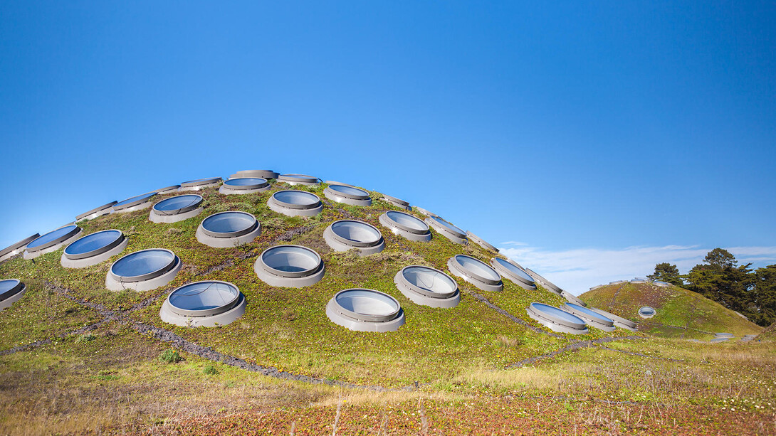 Living Roof. Courtesy of California Academy of Sciences