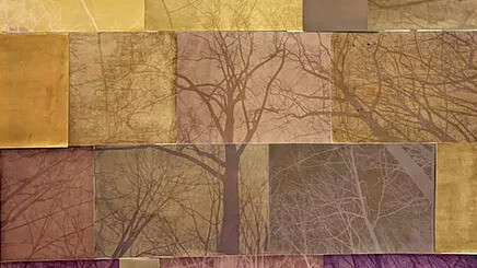 Amanda Marchand and Leah Sobsey, Forest family - Maple, dogwood, cherry, oak, hickory, beech, gingko, pine smoketree, sweetgum (detail), 2026. Courtesy of Rick Wester Fine Art