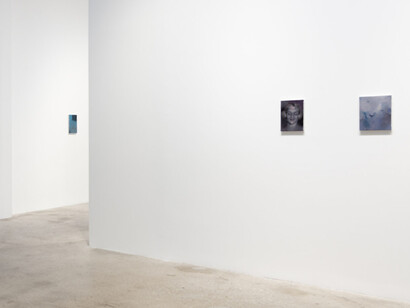 Paul P., Sibilant esses, exhibition view. Courtesy of Greene Naftali