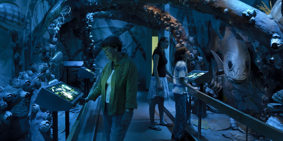 South Florida People & Environments. Courtesy of Florida Museum of Natural History