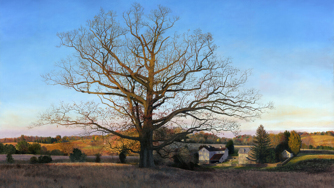 Timothy Barr, Clenny Oak, 2023, oil on panel, 30x48 inches. Courtesy the artist and LewAllen Galleries