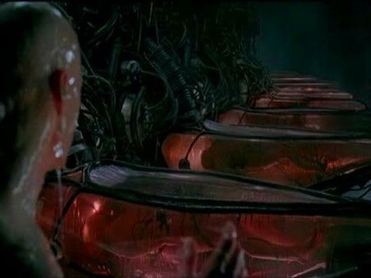 Despertar de un sueño y encontrar una pesadilla