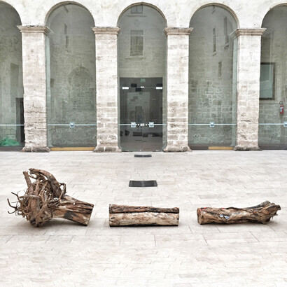 Alice Padovani, Radicati, tronco e radice con inclusioni organiche e di piccoli oggetti, 350x90x90 cm, progetto realizzato durante la residenza Green Routes Taranto, 2018