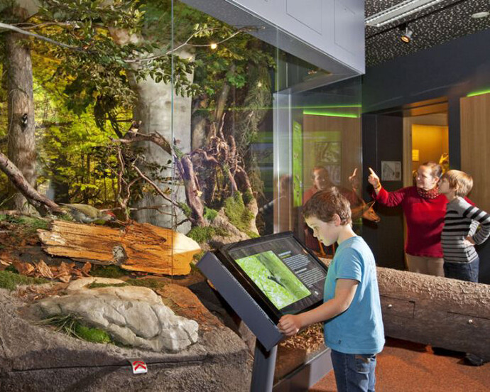 Habitats Diorama. Courtesy of Haus der Natur 