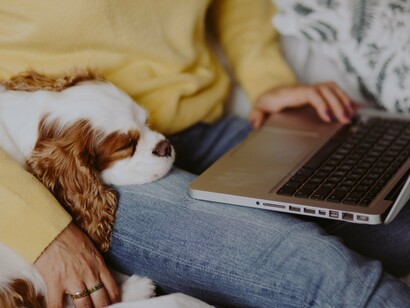 Unlike human relationships, dogs don’t bring social expectations, criticism, or complex conflict