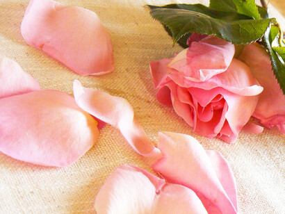 Petali di rosa