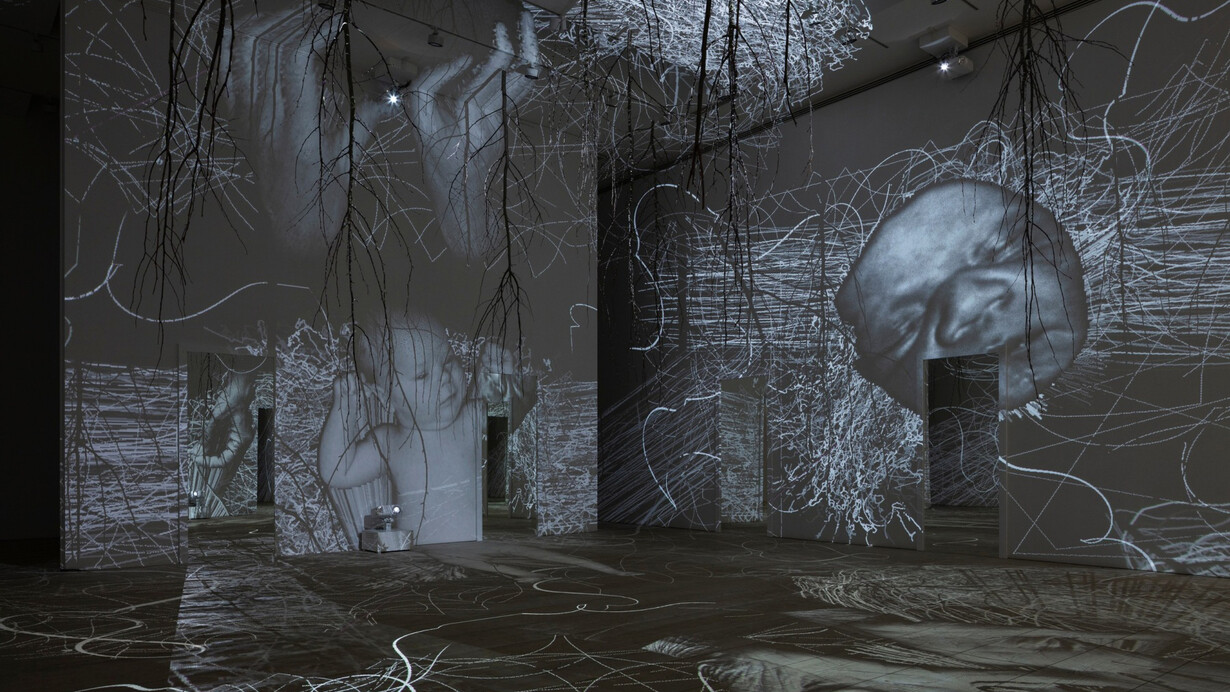 Charles Sandison, The garden of death, exhibition view. Courtesy of Galerie Forsblom