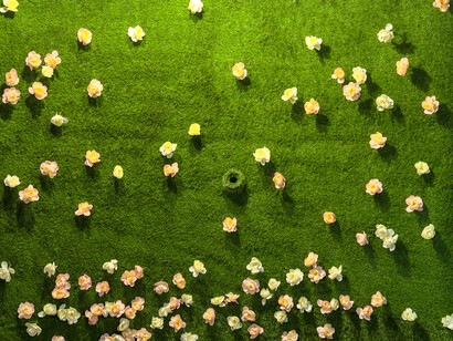 Cinthya Soto; Estudio de Revés, 2002 (de la serie Artificio-Natura, 2002), videoinstalación. Foto cortesía del Centro Cultural de España