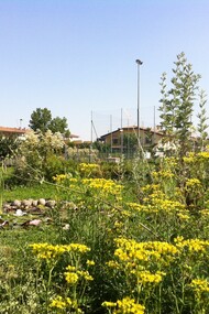 Orto didattico aromatico realizzato ad Abano Terme