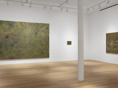 Stefan Kürten: The Prettiest Star. Courtesy of Alexander and Bonin Gallery