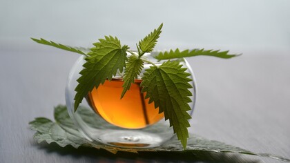 Naturopatia