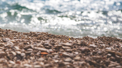 Che cos'è la poesia?