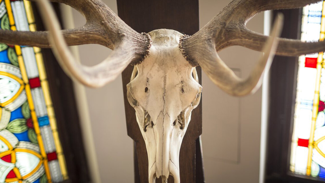 Hunting exhibition. Courtesy of Museum and Library of Hungarian Agriculture