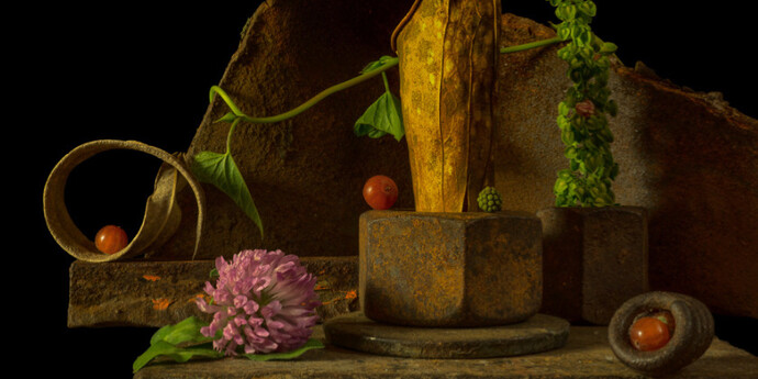 From the Ground Up. Courtesy of Soho Photo Gallery