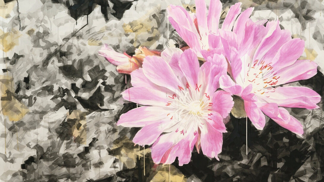 Eric LoPresti, Lewisia with Crystal Background, 2016. Courtesy of Elizabeth Houston Gallery