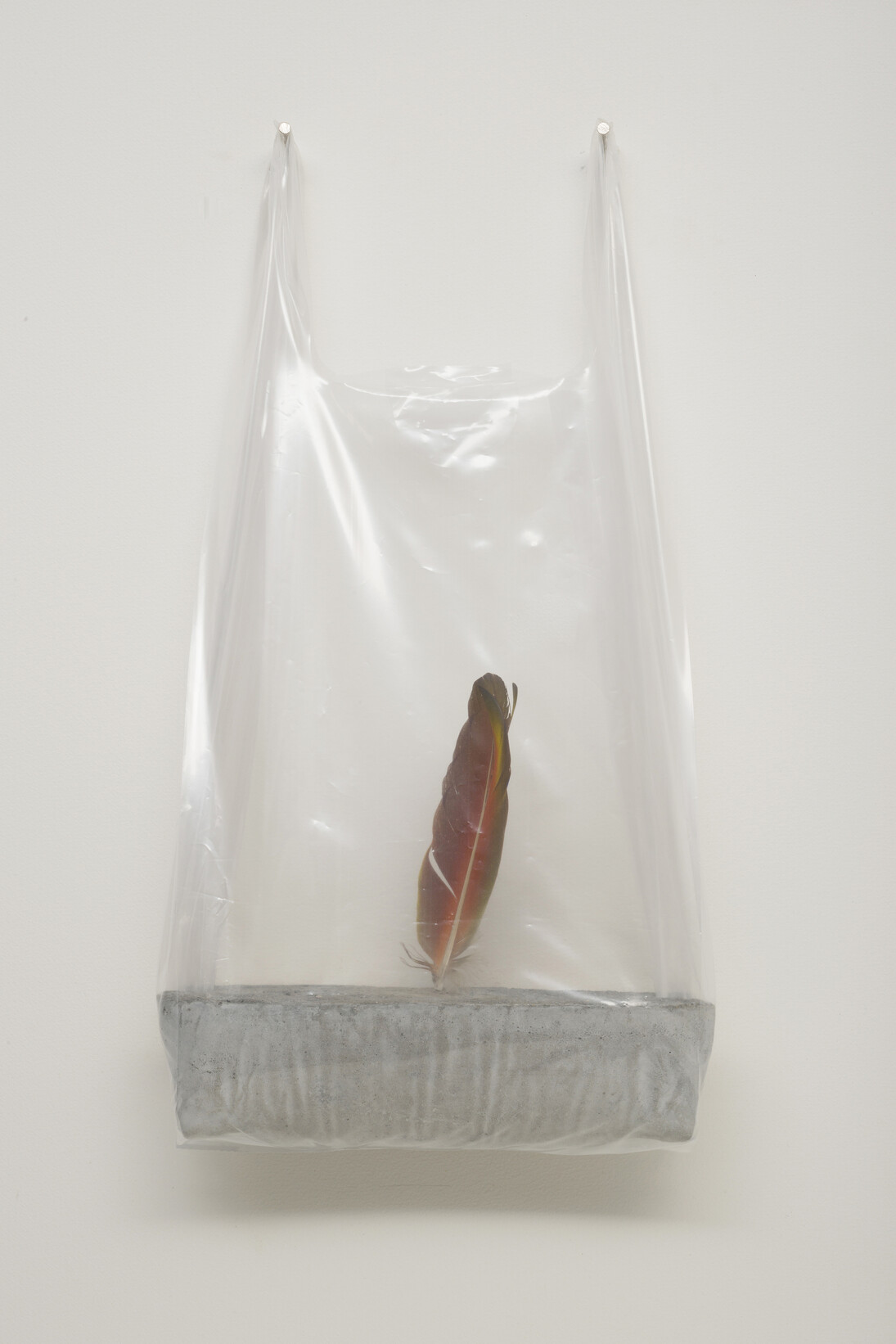 Típico Capital, 2014, Plastic bag, concrete and feather, 50 x 29 x 11 cm. Photo: Eduardo Ortega Courtesy, Galeria Fortes Vilaça