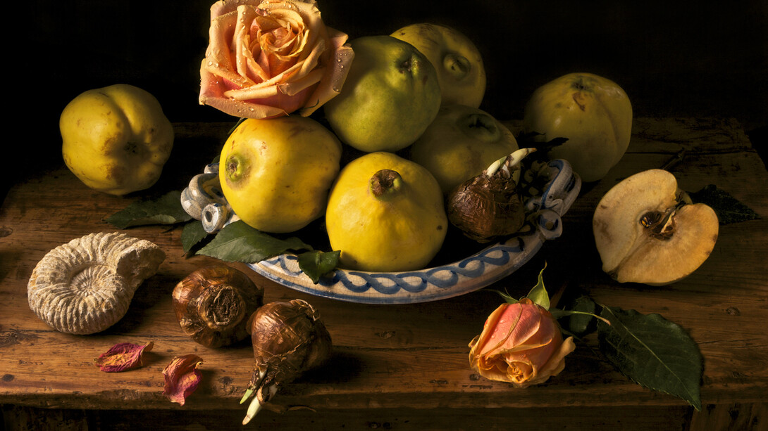 Paulette Tavormina, Quince, After GG, 2008 © Paulette Tavormina. Courtesy Huxley-Parlour Gallery, London