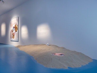 Who’s your daddy? Ausstellungsansicht. Mit freundlicher genehmigung der OÖ Landes-Kultur GmbH