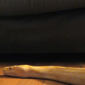 Keren Cytter. Courtesy of Pilar Corrias