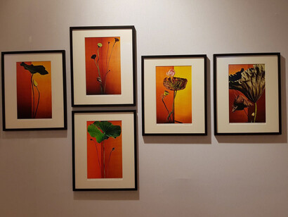 Keiichiro Muramatsu. Courtesy of Galerie marie-robin