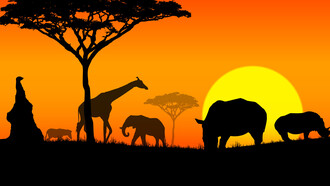 Animales en la puesta del sol