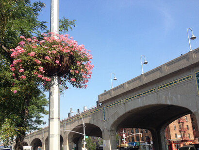 Sunnyside Queens NY, Photo by Michael Rapp
