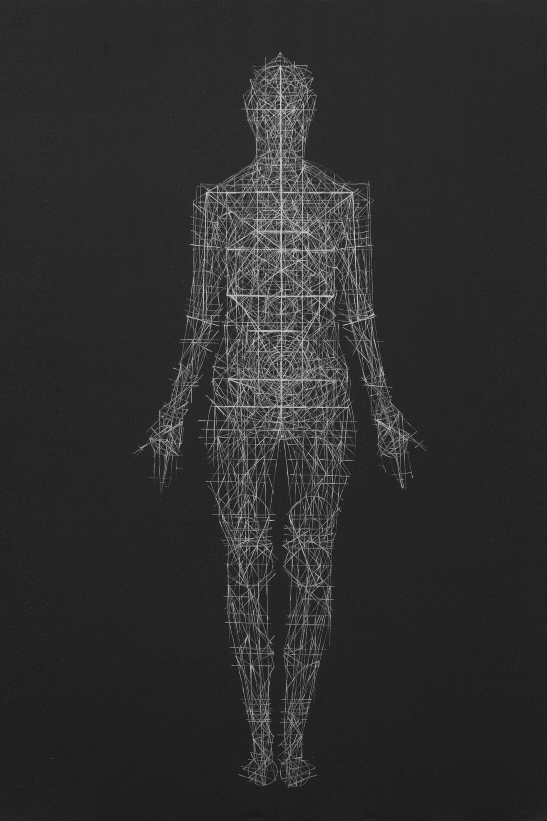 Rachel Garrard, White Shadow, 2014, Silverpoint, shellac and black gesso on linen, 78 x 44 inches