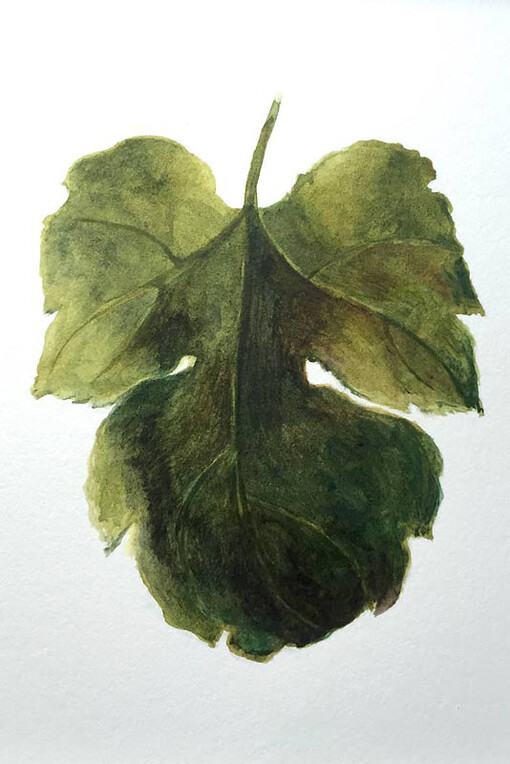 Jai Redman. Courtesy of Manchester Art Gallery