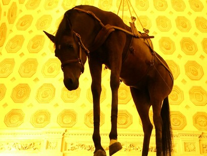 Cavalos têm sido usados ​​na arte como um símbolo de poder por séculos. A série de esculturas de cavalos de Maurizio Cattelan compreende cavalos taxidermizados com suas cabeças presas na parede ou penduradas no teto